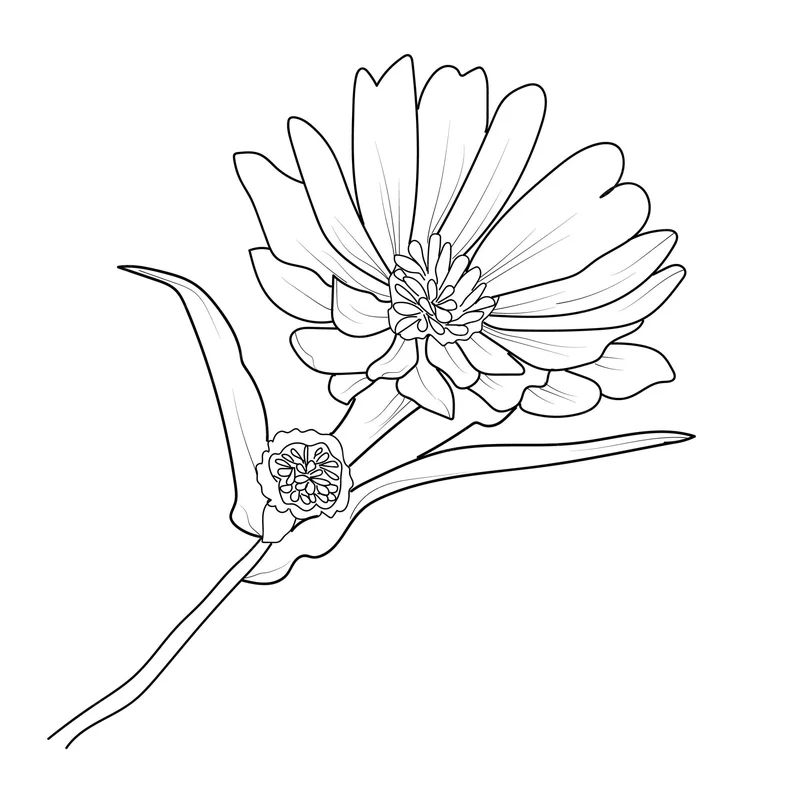 Aster Pumps After CZ's 'Investment': What This Really Means and Why You're Getting Played