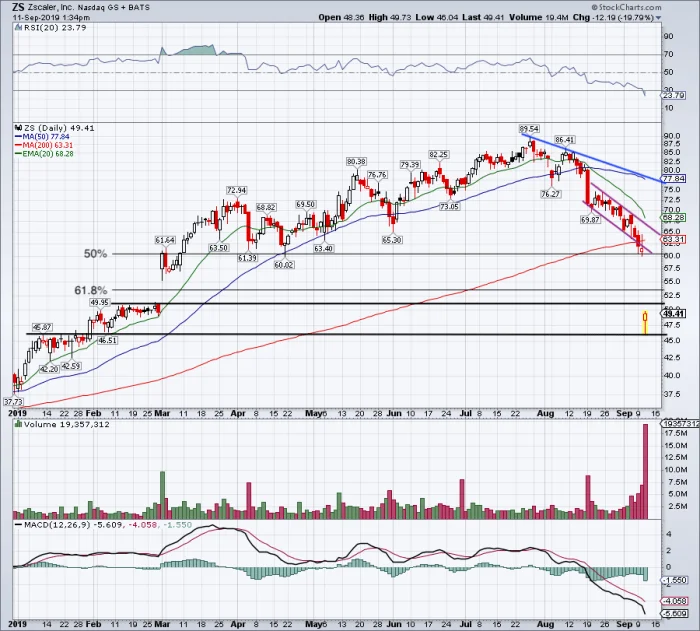Zscaler Stock: Decoding Its Price & Unlocking Future Earnings Potential